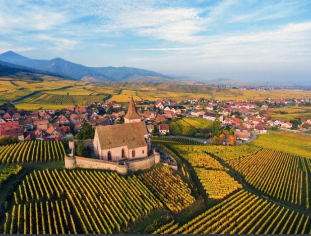 Vignoble Blienschwiller Alsace